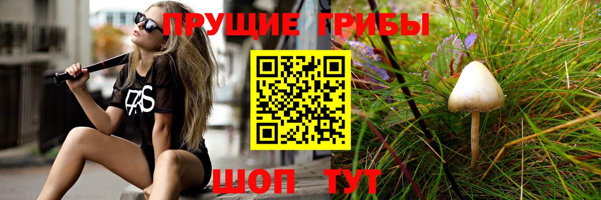 Пушкино  Псилоцибиновые грибы Cubensis  где продают   Вход с VPN 