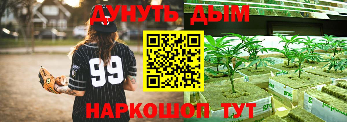 Пушкино  Канабис марихуана  Конопля Bruce Banner  Конопля VHQ  Вход с VPN 